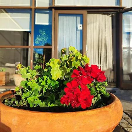 Aspen I306 Разлог